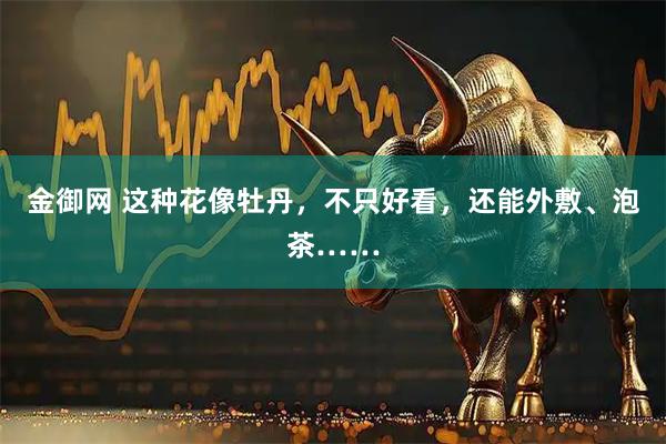 金御网 这种花像牡丹，不只好看，还能外敷、泡茶……