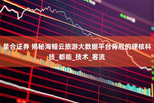 星合证券 揭秘海鳗云旅游大数据平台背后的硬核科技_都能_技术_客流