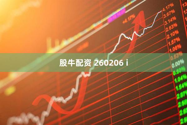 股牛配资 260206 i