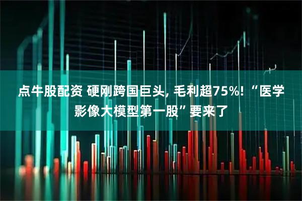 点牛股配资 硬刚跨国巨头, 毛利超75%! “医学影像大模型第一股”要来了
